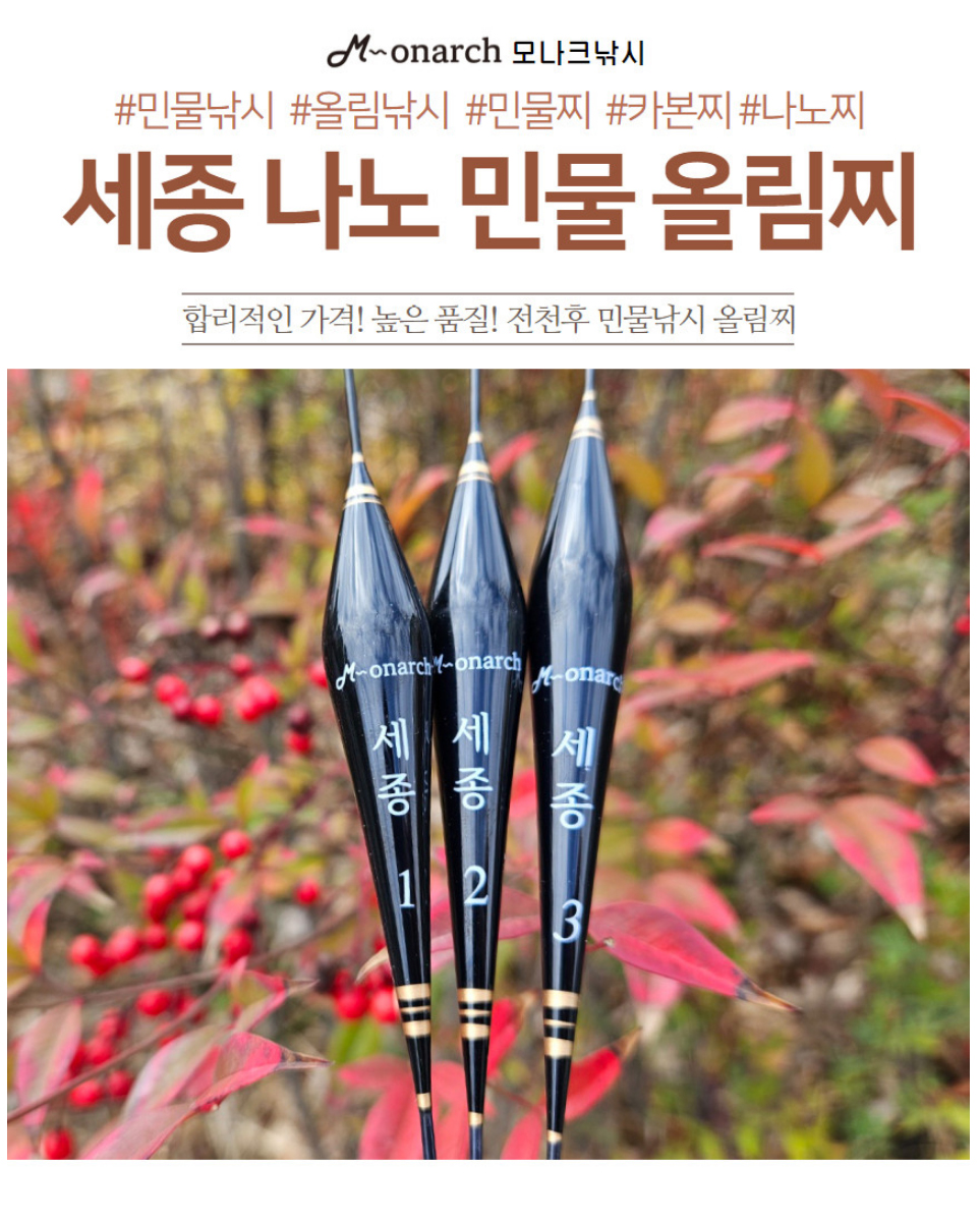  모나크세종 