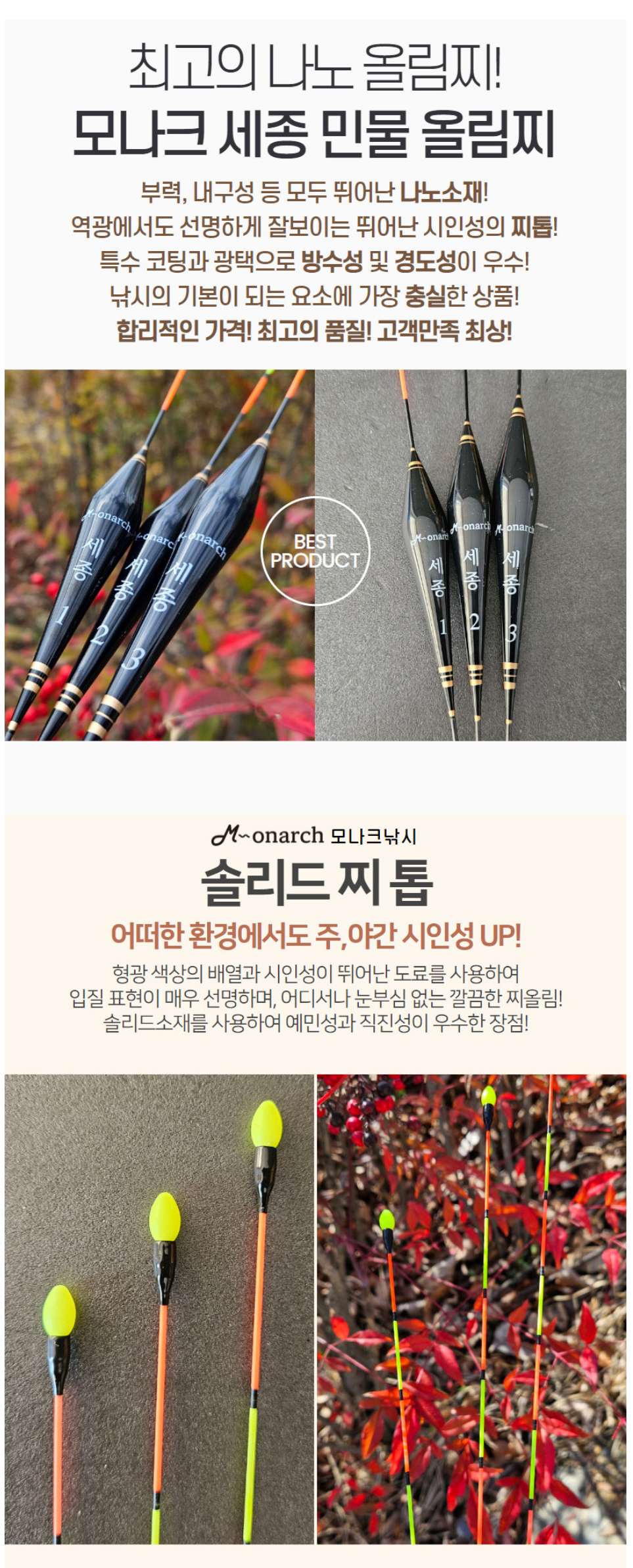 모나크세종 