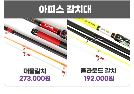 아피스갈치대
