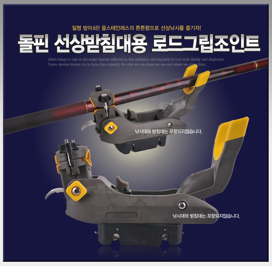 선상돌핀